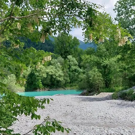 Daire Gravitacija West